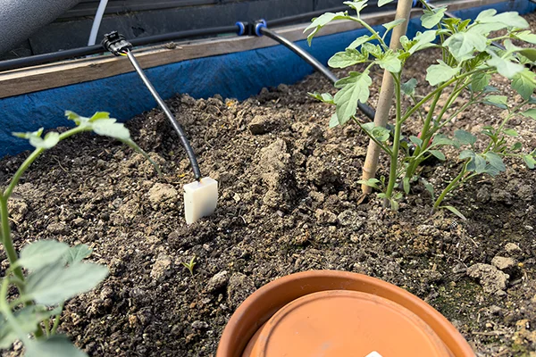 Sensor in raised bed