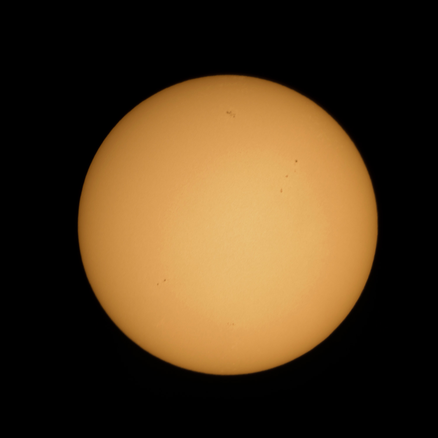 Photo of The Sun and sun spots
