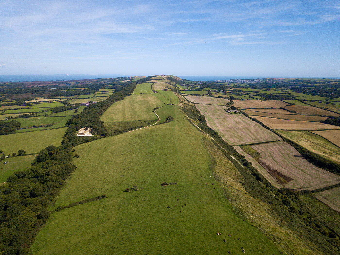 along the purbeck hills