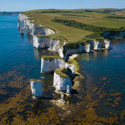 The Foreland and Old Harry