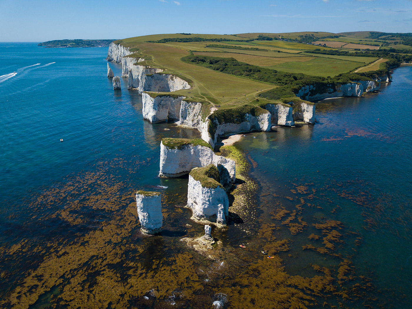 The Foreland and Old Harry | Brian Dorey Gallery