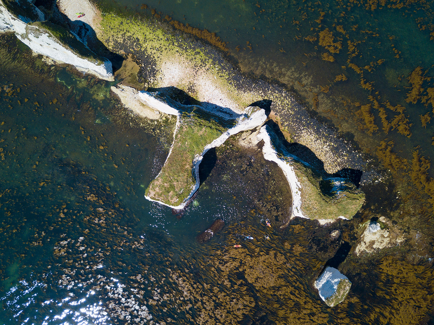 The Foreland and Old Harry