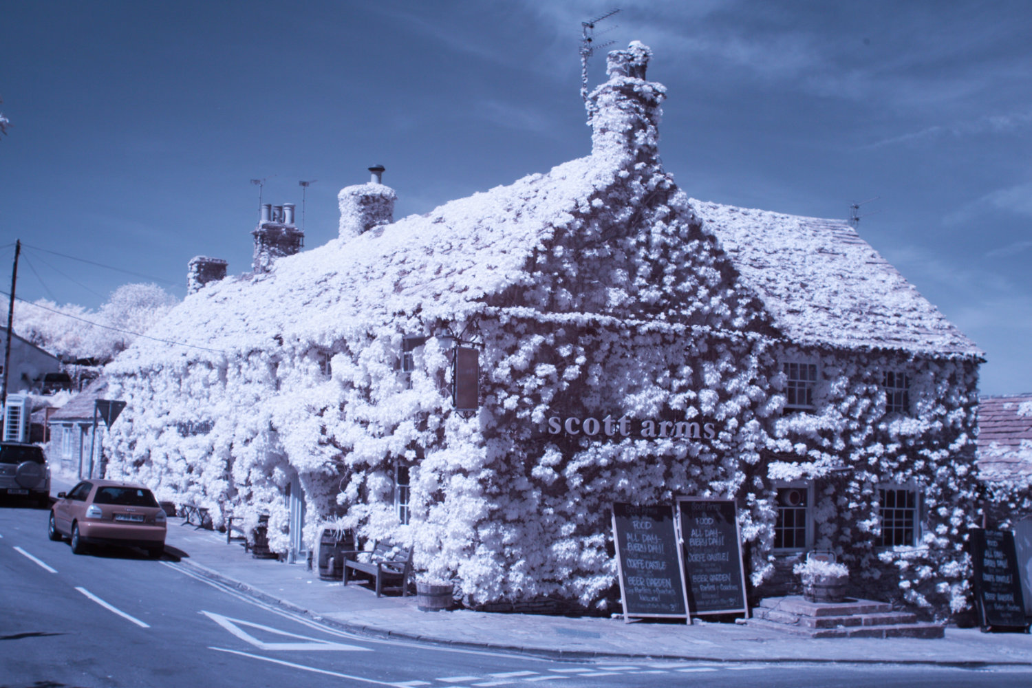 Photo of scott arms