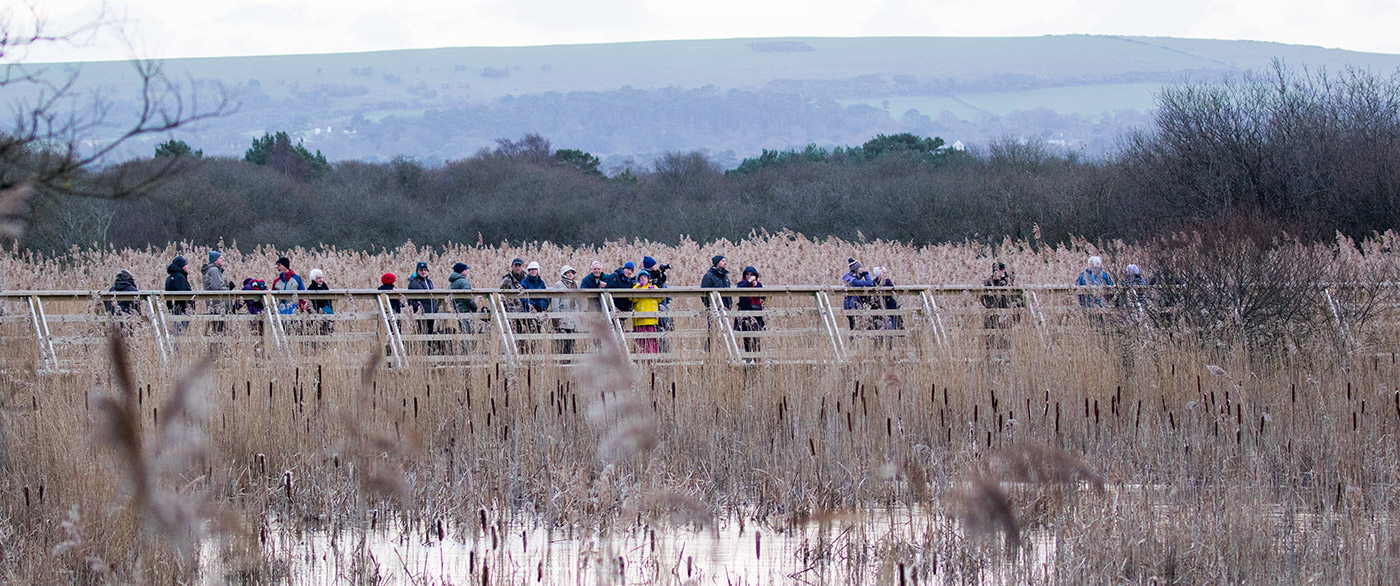 birdwatchers in a row