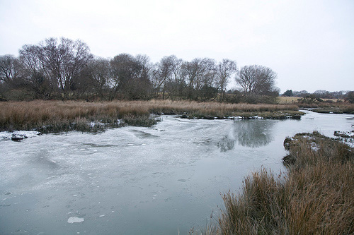 Photo of Poole Harbour Frozen over